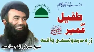 Pashto new bayan | Bayan Pashto | شیخ سردار ولی بیانونه | serat un nabi | islami waqiat