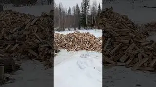 раскололи целый лесовоз за день, жëстко, конечно, но мы смогли. 😄 #работа