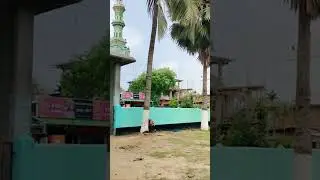 Shorts viral 🔥