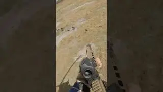 Aerial shooting hogs on the run In swamp country. 