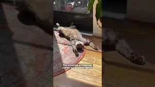 Ни на что не намекаем, но завтра понедельник. Надо успеть сделать катку на велике)