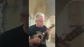 Sound Sample Mandolino Gaetano Vinaccia, Napoli 1779