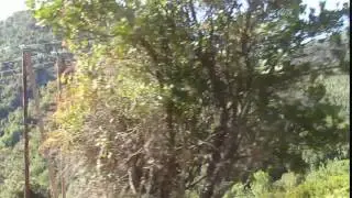 Sur une route de montagne en Corse
