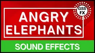 angry Elephants sounds|angry Elephants sound fx |angry Elephants sound effects |angry Elephants sfx