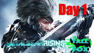 Title Metal Gear Rising: Revengeance| Day 1 | Tall Fox