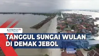 Penampakan Tanggul Sungai Wulan di Demak yang Jebol