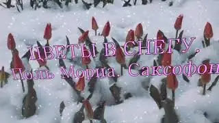 С ДОБРЫМ УТРОМ ЛЮБИМАЯ МОЯ ДЕВОЧКА!
