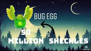Bug egg !!!