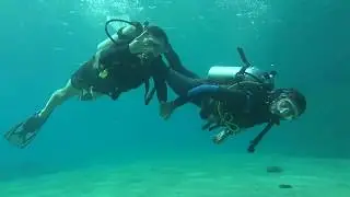 Задержать вдох и нырнуть: мир водных аттракционов Эйлата