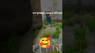 гуляю с своим пëсиком 🥰#активпж #гдеактив