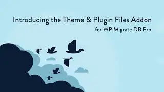 Migrating WordPress Theme and Plugin Files with the Theme & Plugin Files Addon for WP Migrate DB Pro