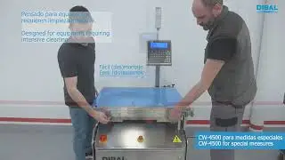 Sistem automat de cantarire si verificare greutate dimensiuni speciale CW-4500 DIBAL
