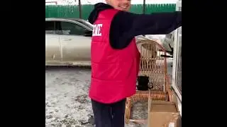 У Gufa на даче. Guf выходя с дома подскользнулся. Gufa собака Gucci