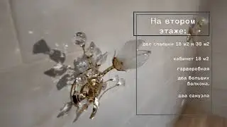 18 ноября 2024 г.