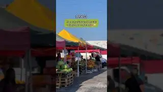 Друзі, літо триває, а це означає, що сезон соковитих кавунів та динь у самому розпалі! 🍉🍈