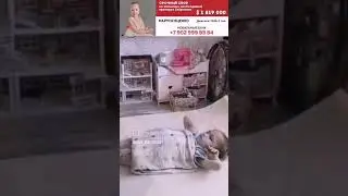 Сколько прячется за кадром....Ежедневные занятия, с нагрузкой взрослого человека... #тренеровка