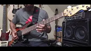 'Square Biz' (Bass cover) Tina Marie