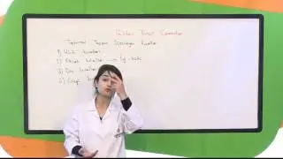 Temel Hukuk (Temel Hukuk Bilgileri)