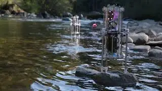Hyper-Soundwalk Unedited Footage #1: Bear River - 2021 - Explorator winder, Legatus, and Speculātor