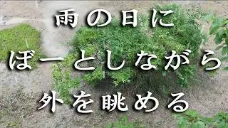 【睡眠用BGM】癒やしの雨音12時間