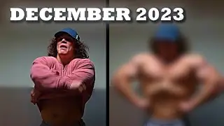 SAM SULEK - THE DECEMBER BULK