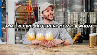 Discussing Tree House Brewery's yeast experimentation!