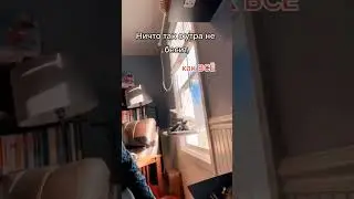 кот псих)) 