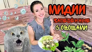 МИДИИ рецепт (Как готовить мидии запеченные в духовке) Вкусно просто доступно Мидии в створках