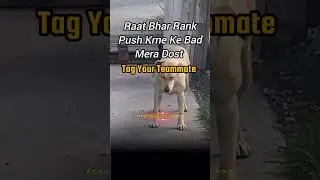 Tag That Teammate #75VickyYT #shorts #ytshorts #viral #gaming #pubg #bgmi #pubglite #funny