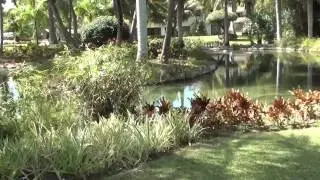 Overview Catalonia Bavaro Beach, Golf & Casino Resort 5*