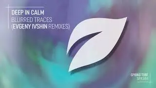 Deep In Calm - Soul Control (Evgeny Ivshin Remix)