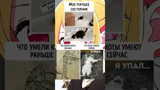 #мем #меме #мемы_тикток #мемы2023 #кот #котики #коты #котыприколы #мемас #мемасы