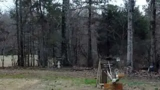 Tree Rat Launch Catapult Squirrel can fly