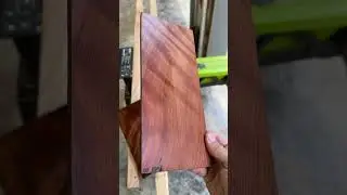 Mammoth tusk project 