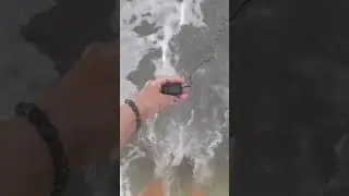 ЗАМЕР ТЕМПЕРАТУРЫ ВОДЫ В МОРЕ НА СЕГОДНЯ