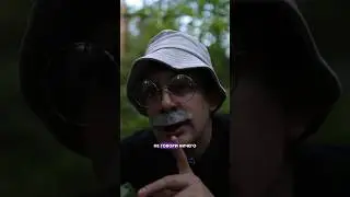 ТАЙНЫЙ ЛЕС 5 ❌ Лучший комментарий закреплю