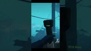 Never going into fog again 