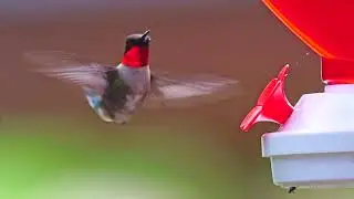 HummerTest2
