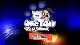 One Tail Cat Tale