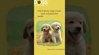 Dogs information / Dog info / dogs guide
