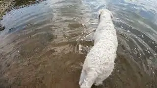 GoPro - 1 test