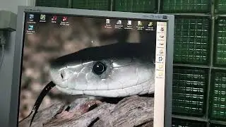 Ну ду-у-уже старий комп. Чи можливе нове життя?