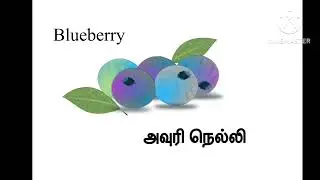 தமிழ் அறிவோம் | தூய  தழிழ் சொற்கள் | pure tamil words | tamil words | English to tamil
