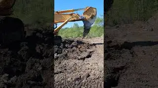 Cat10 и Komatsu на рыхле #золото #геологоразведка #буровая #Cat #komatsu