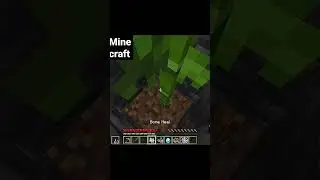 Minecraft - I Got Lucky || World's smallest violin || #minecraft #shorts #minecraftshorts
