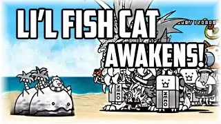 The Battle Cats | Li'l Fish (Island) Cat Awakens! (Tiny Fins)