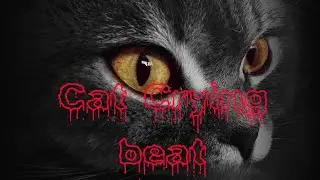 Cat Crying beat Music Sounds || Musicologist Ro ||