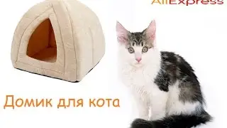 Обзор домика для кота с Aliexpress