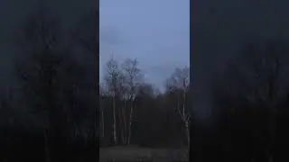 Удачный выстрел вальдшнеп ( lucky shot )