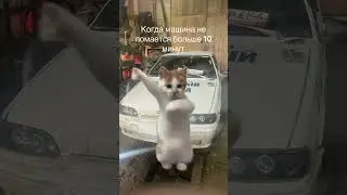 Тринашка
